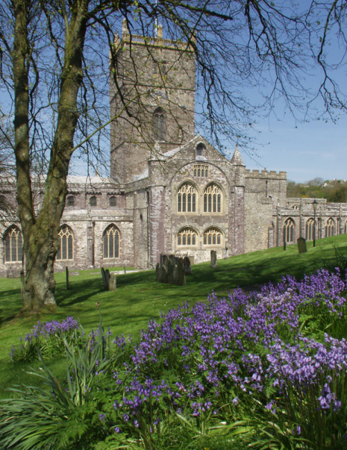 St David’s Cathedral  |  by Paul Edwards