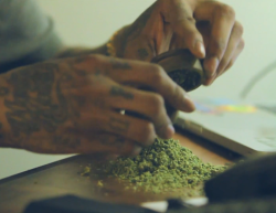 smoke-pot-everyday:  Never pay for Weed again - Click here  Mountain