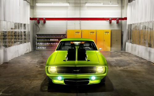 musclecarsfans:  Follow For Muscle Cars Everyday
