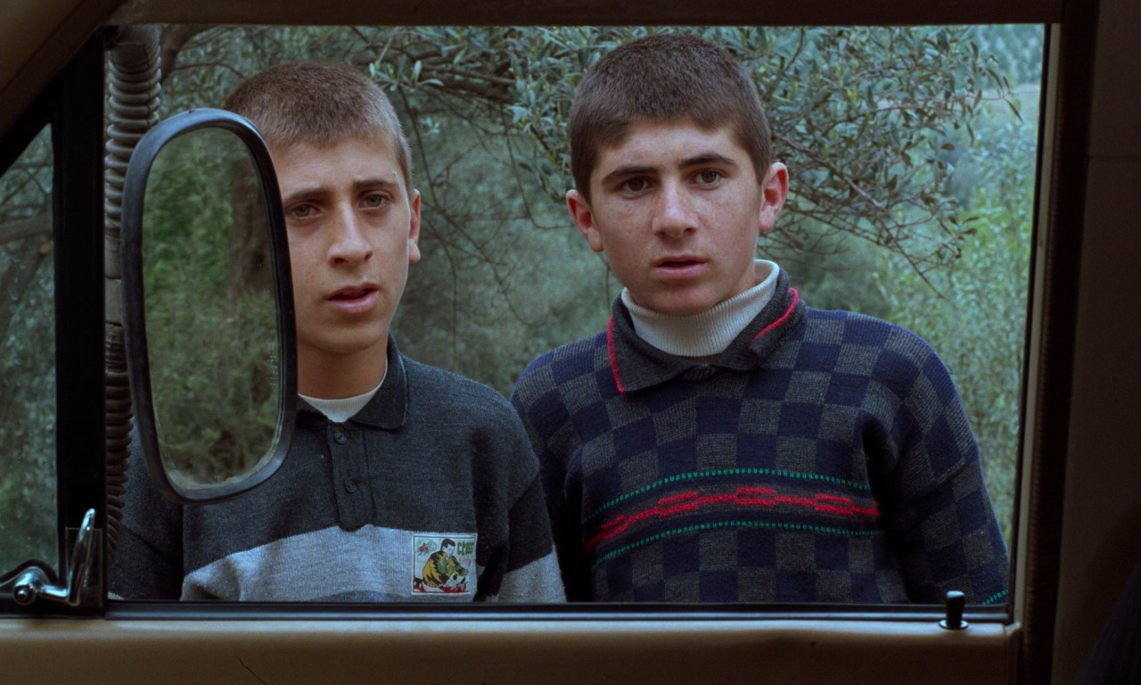 artfilmfan:  Through The Olive Trees (Abbas Kiarostami, 1994)