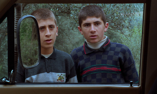 artfilmfan:  Through The Olive Trees (Abbas Kiarostami, 1994)