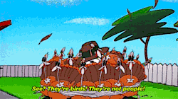rmlgifs:  They’re birds! They’re not