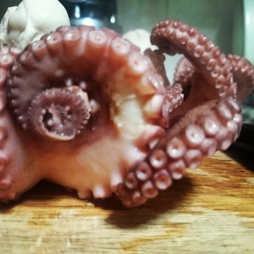 Octopus #elguayabo