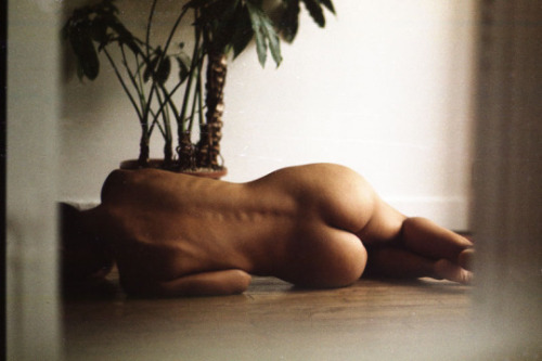 XXX piantaopiantao:  Andrea Tomas Prato III  photo