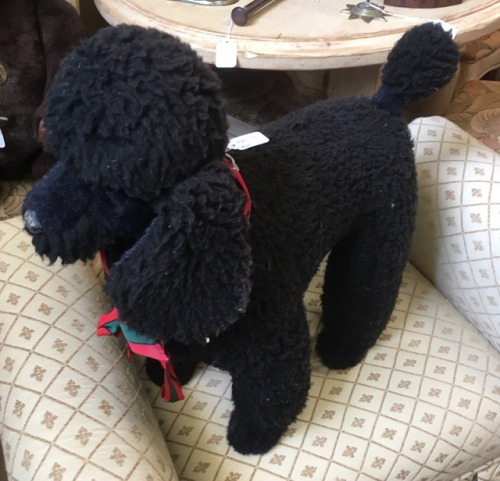 I really wanted to take this giant poodle plush home, but he was priced at $75, so I had to leave hi