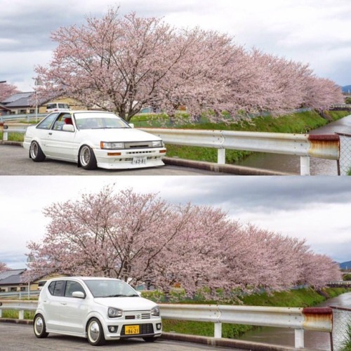 ramiiiiipic: cherryblossom ・ 2年前 まるで携帯で撮ったかのような悲しい写真 まだ洗車もしてた頃のハチロクと まだワークスらしさが残ってたアルト 近所だから2台並べて写真