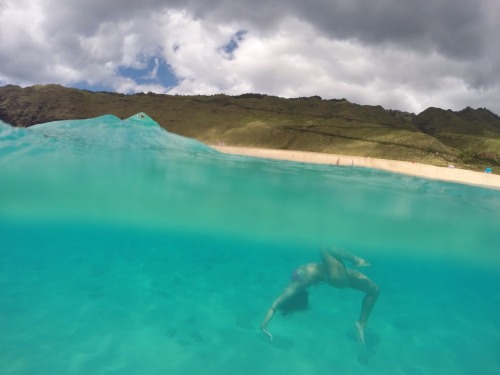 Surfs Up