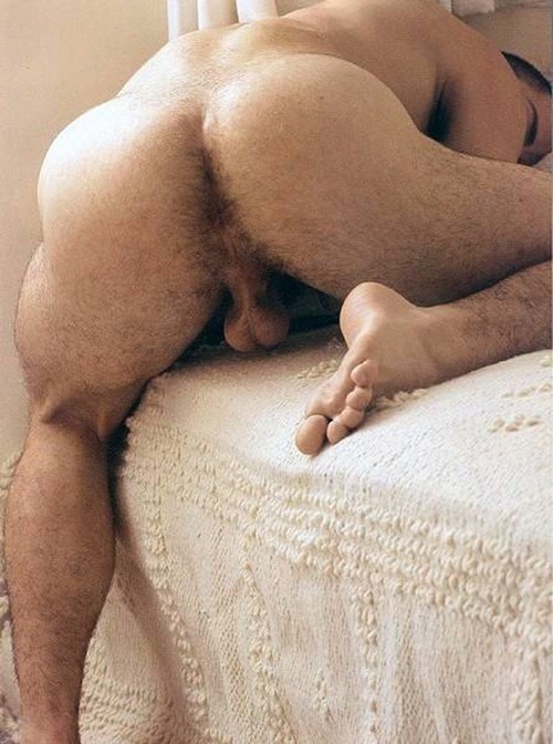 abdelgunnar:  I offer you my ass, fuck it is so hot
