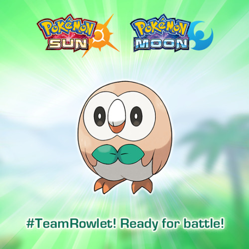 pokemon:Raise your hand if you’re #TeamRowlet!  