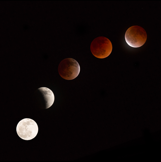 gentlemansessentials:  Moon At Play ©Ianulionoc Vadim  Gentleman’s Essentials