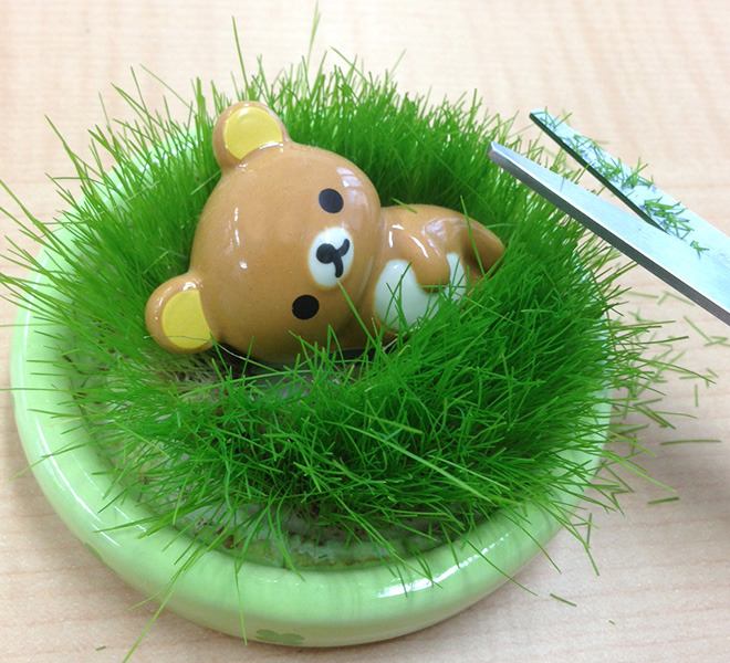 rilakkuma