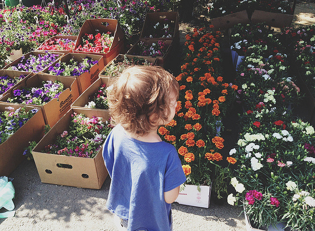 aesthesos:  25/52 by oanabefort on Flickr. 