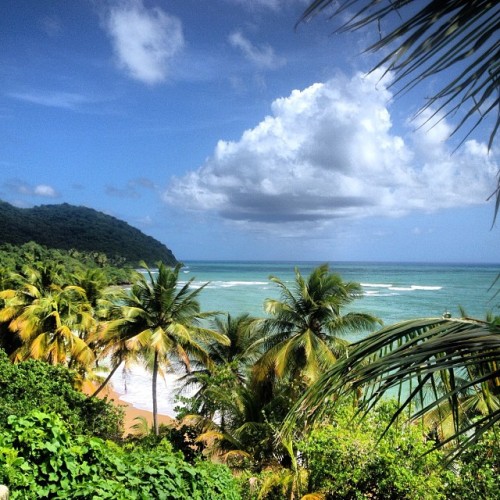 paradiselocations: Good afternoon from Maunabo #puertorico #paradise #beaches #caribbean #island