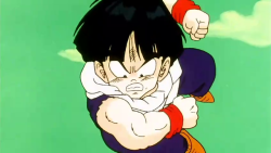 Dragon Ball Z screen caps!