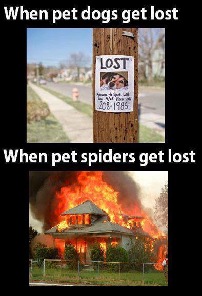 TheFunnyPicsPage