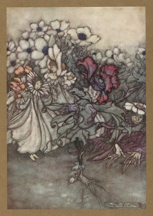 Illustrations by Arthur Rackham for Peter Pan in Kensington Gardens, 1906