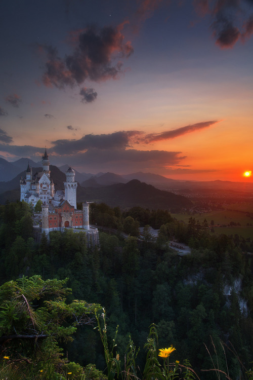 heaven-ly-mind:Bavarian Dream
