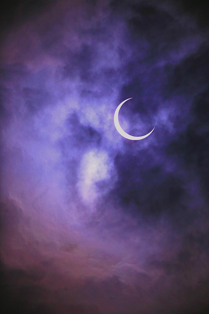 morgana-luna:  Purple aesthetic.