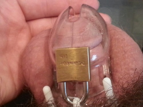 rheinlander255:Sir is addicted to my locked cock lol. Here is a pic of my locked dick and swollen balls