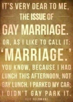 hotgaycouple:  I support gay marriage which is always the same as marriage.