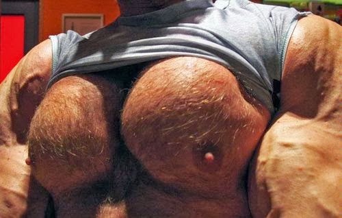 germanbuilder:  The HOT MUSCULAR CHEST of the GERMANBUILDER  Those nipples are just