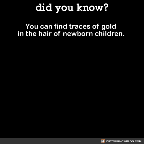 black-bitch-alchemist:  did-you-kno:  You can find traces of gold in the hair of