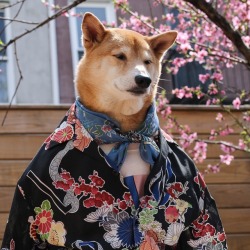 mensweardog:The perfect man does not exi-