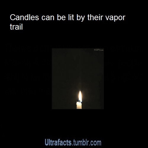 ultrafacts:  Click HERE to follow Ultrafacts for more facts on your dash daily! 