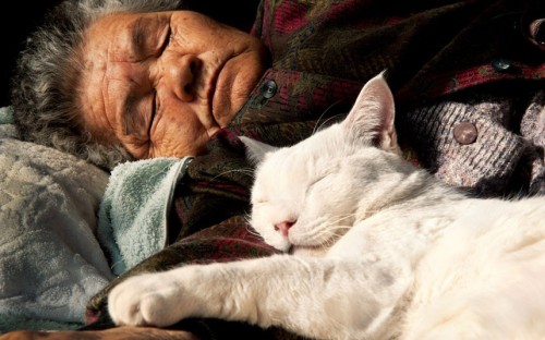kinh:  thecatdogblog:  Nine years ago, Japanese photographer Miyoko Ihara began snapping pictures of the relationship between her grandmother and her odd-eyed white cat. Miyoko’s grandma Misao found the abandoned cat in a shed on her land and the pair