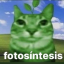 frarchiveanstories