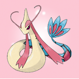 solos1s:  This or That? Milotic or Dragonair asked by asahinasdonuts 