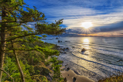 On the Oregon Coast TrailJan 2014  Ecola State Park, that&rsquo;s Indian Beach below -jerrysEYES