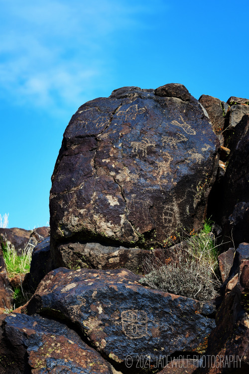 Coso Rock Art District PetroglyphsLittle Petroglyph CanyonNAWS China LakeRidgecrest, California