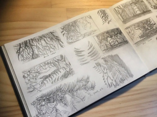 It&rsquo;s the Ari Gibson&rsquo;s sketchbook. I&rsquo;m sure there are people who&rs