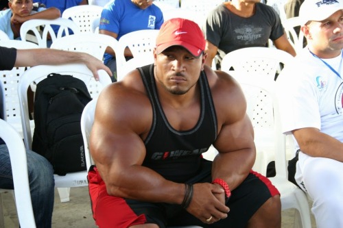 Roelly Winklaar