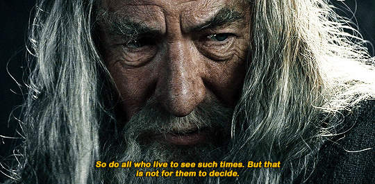 stevensrogers:The Lord of the Rings: The Fellowship of the Ring (2001) dir. Peter