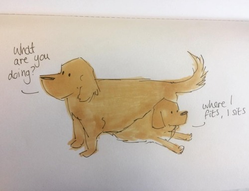 Where I fits, I sits #funny #dogillustration #dogart #sketch#cartoon #comic #sketch #art #doodle #ch