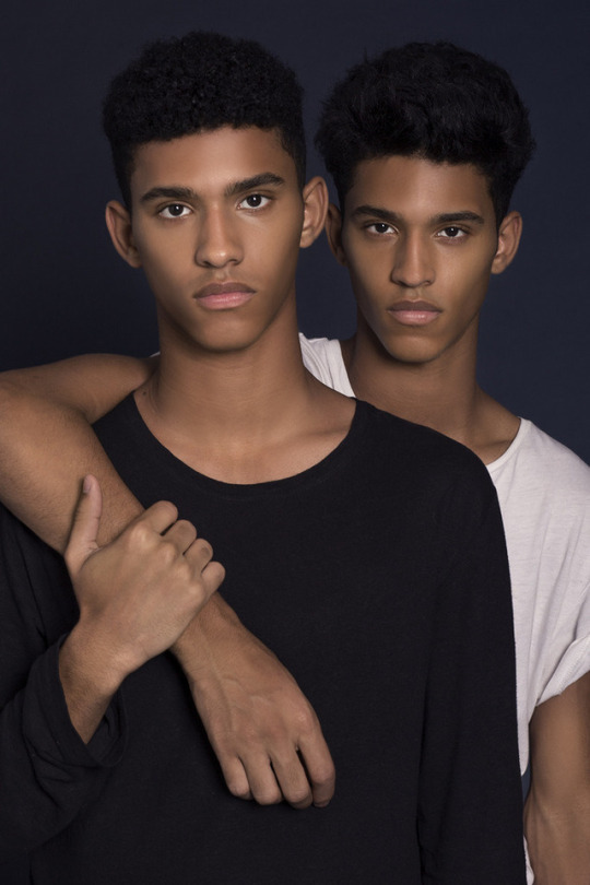 gayprof:Twins 