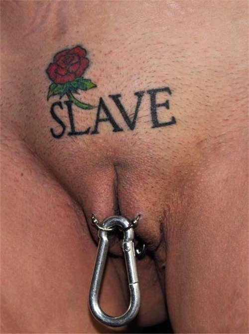 daddyzgurrrl: aenomnom: slutsbow2sir:  whorespain:  Nicely marked pigs  Don’t be afraid to let