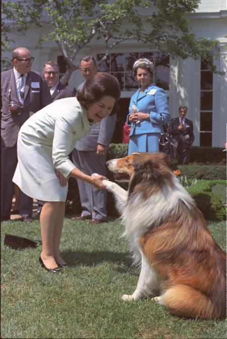 A VIP (Very Important Pup) At The White House