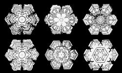 guardian:  The strange tale of the Snowflake