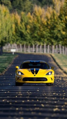 max-vanity:  Dodge Viper SRT 