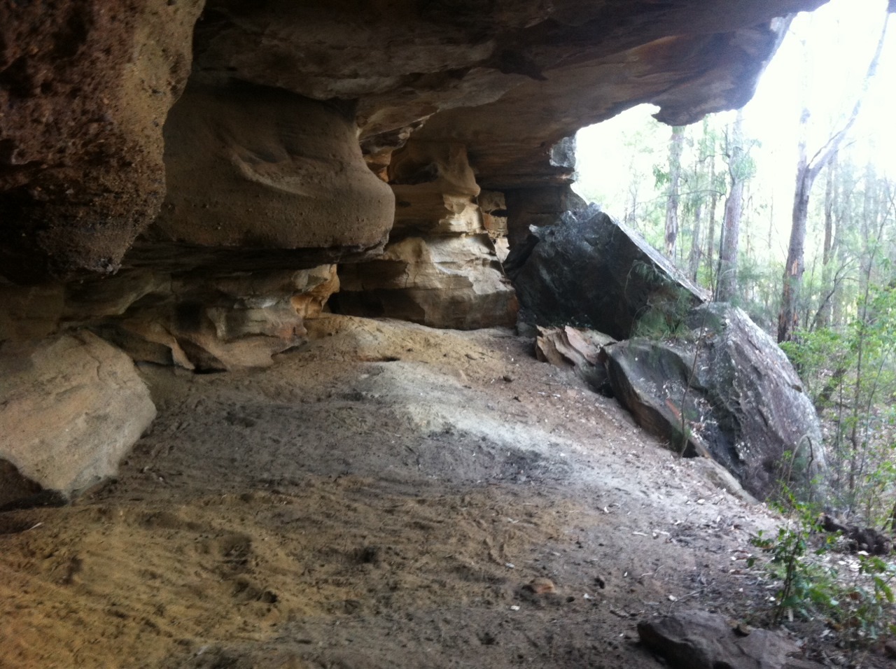 Went hiking yesterday and found a cool cave with aboriginal handprints   Wollombi,