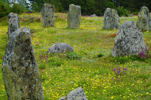 virtuallyinsane: “The stone ship or ship setting was an early burial custom in Scandinavia, No