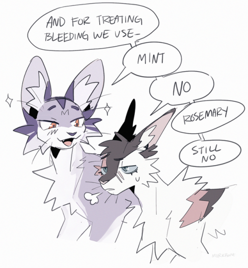 found some old oc sketches in my files&hellip;those ol conflict cats, it&rsquo;s really been