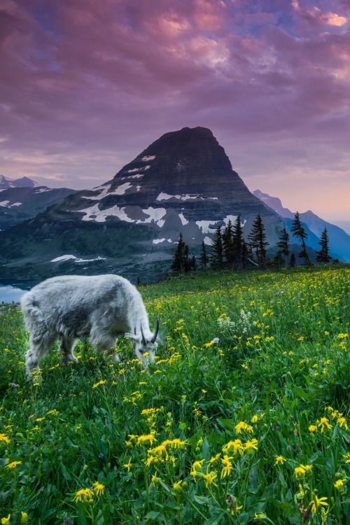 sublim-ature:Bearhat Mountain, MontanaLarry Marshall