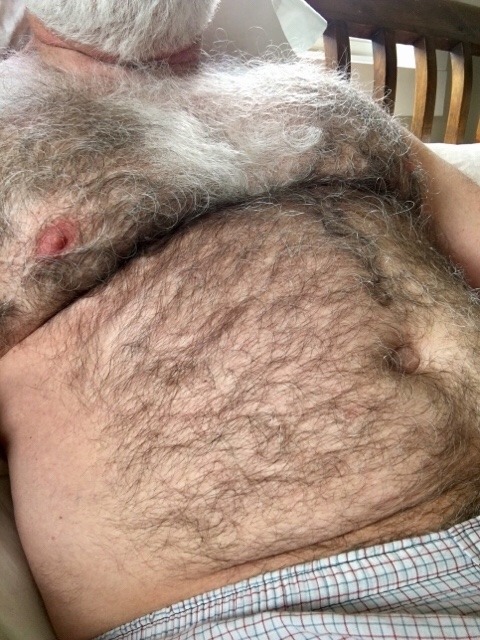 beautyofbears:    Big Bears, Hairy Bears,