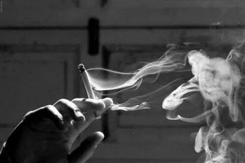 teenagehipst3r:  Only hipster posts