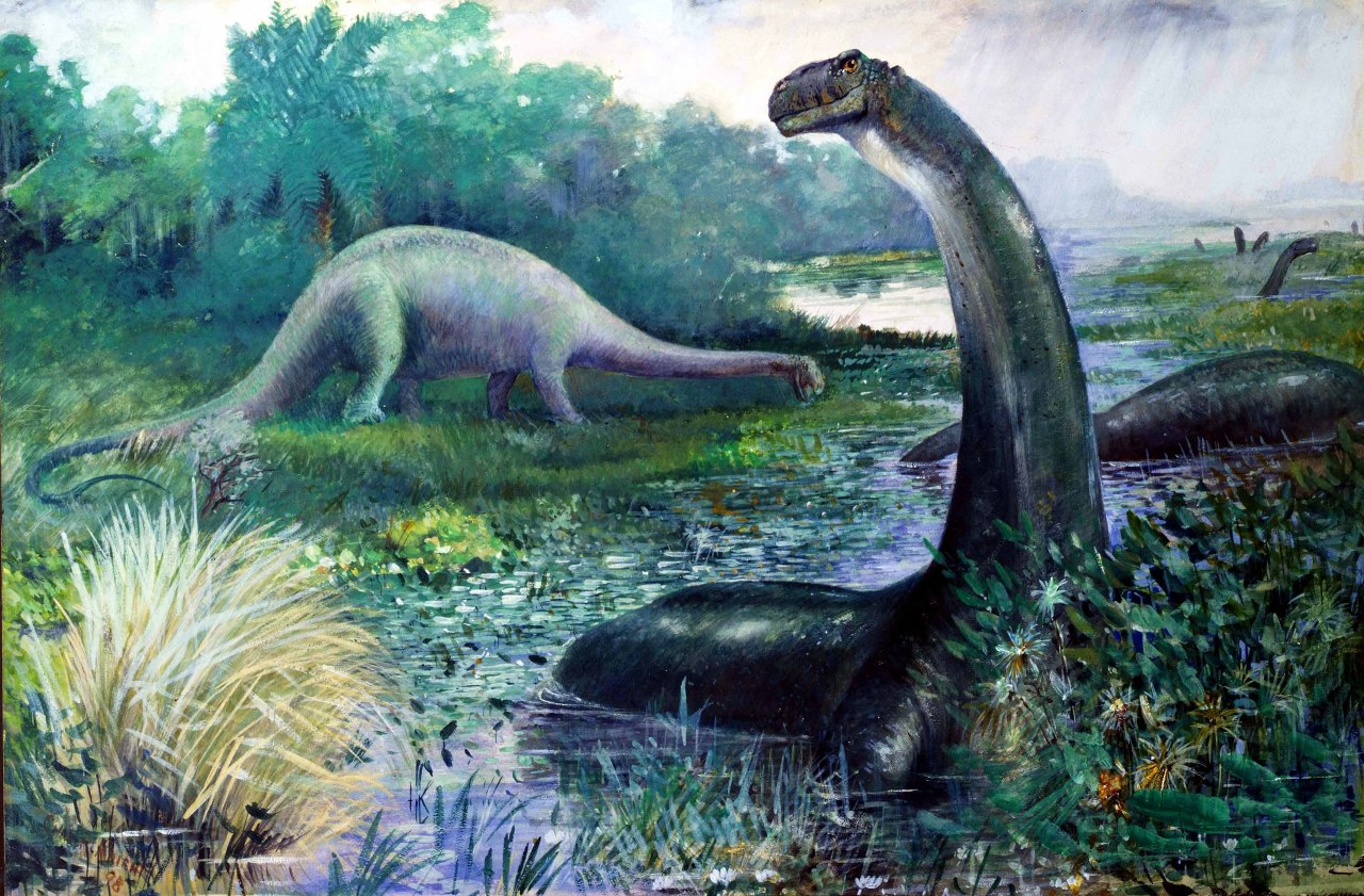 A collection of different theories about what the Mokele-Mbembe is :  r/SpeculativeEvolution