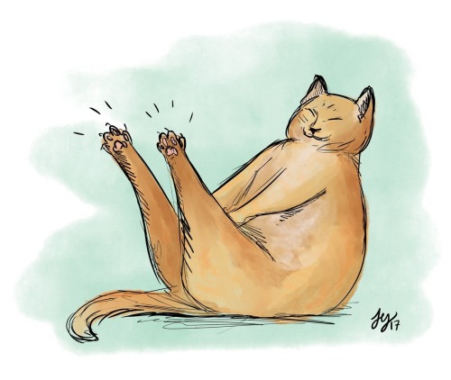 jemyoshioka:When cats stretch out their toebeans. Reblog if you agree.